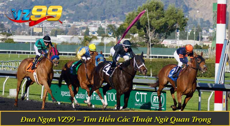 Đua Ngựa VZ99 – Tìm Hiểu Các Thuật Ngữ Quan Trọng Trong Game 8 Đua Ngựa VZ99 – Tìm Hiểu Các Thuật Ngữ Quan Trọng